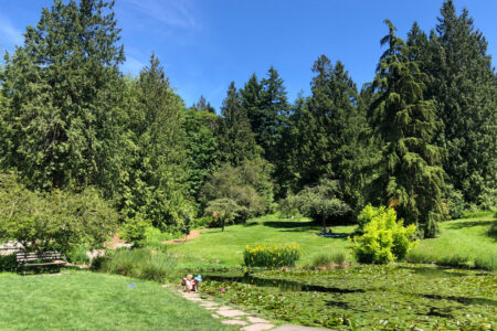 A lush green park scene with tall trees, a lily pad-covered pond, and a stone path. A person sits near the pond on a sunny day, surrounded by vibrant grass and clear blue sky.