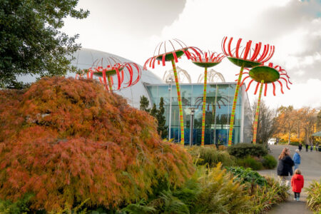 A garden scene featuring large red and green whimsical sculptures resembling flowers. People walk along a path amid lush foliage, including a tree with autumn-hued leaves. A glass structure is visible in the background under a partly cloudy sky.