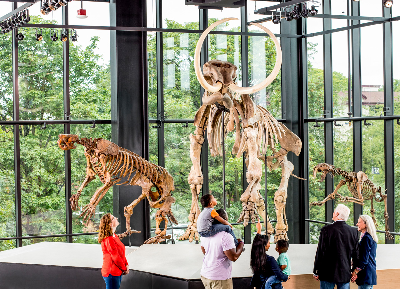 Visitors observe the skeletal display of a mammoth and a saber-toothed cat in a museum with large windows overlooking lush greenery. Families and individuals are engaged in viewing the exhibits.