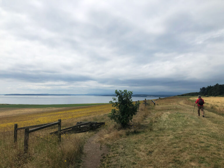 A person with a backpack and walking sticks hikes along a grassy trail by the sea. The landscape features a mix of green and yellow fields under a cloudy sky, with distant hills in the background.