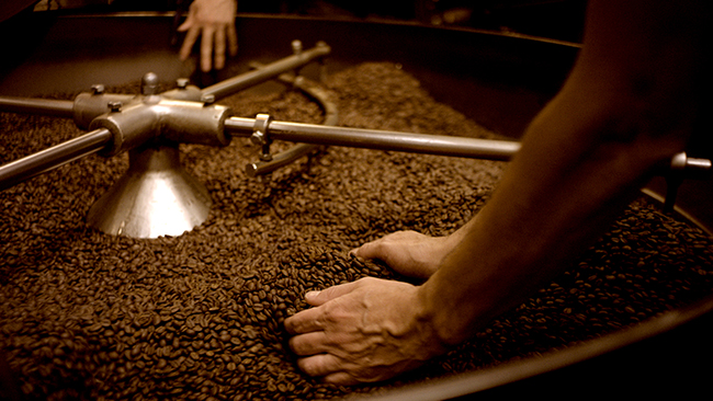 Two hands are seen sorting through a large pile of roasted coffee beans. The beans are in a circular metal container with rods extending from the center. Another hand is visible in the background, assisting with the process.
