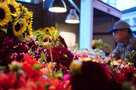 series-thumbnail-slider-card-image-box