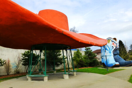 Georgetown Hat and Boots