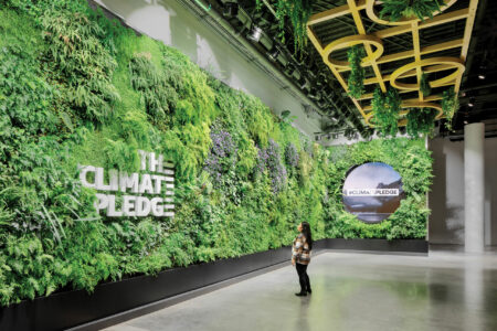 A photo of a person standing in front of the living green wall at Climate Pledge Arena. The wall is filled with hundreds of live green plants. The person wears a brown, white and black plaid shirt and black pants and shoes. Hanging from the ceiling is a yellow trellis with more plants inside.