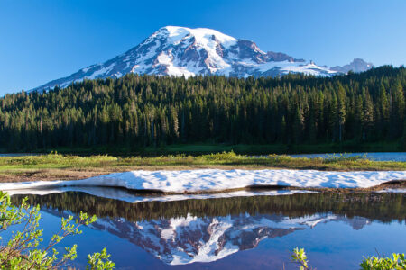 Mt. Rainier