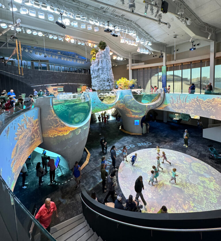 A large, indoor aquarium with immersive wall and floor projections showing coral reefs and marine life. Visitors, including children, engage with the vibrant displays. A tall rock formation rises in the center, surrounded by natural light from large windows.