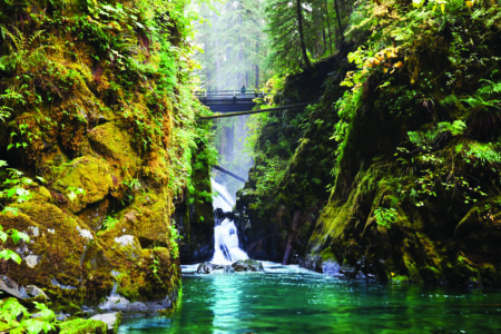 A serene waterfall cascades between moss-covered cliffs, surrounded by lush green foliage. A small bridge stretches across the ravine. The water flows into a clear, turquoise pool, creating a tranquil forest scene.