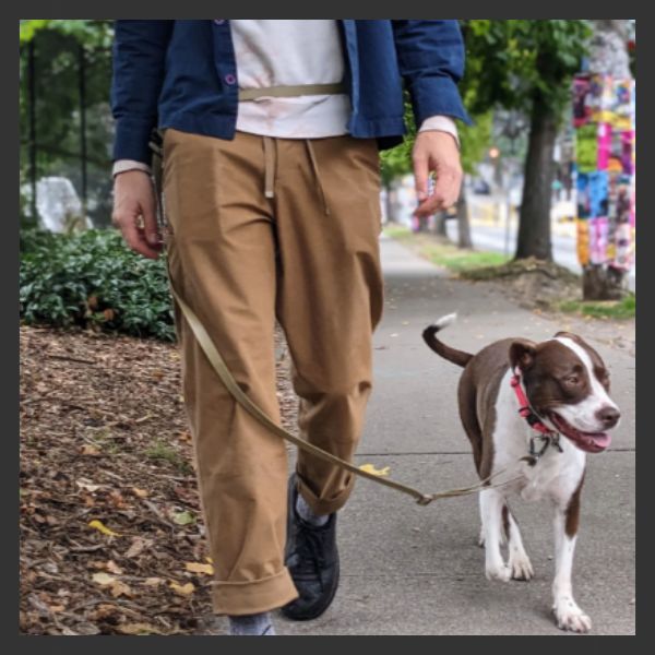 A person in tan pants and a blue jacket walks a brown and white dog on a leash along a sidewalk bordered by trees and green shrubs.