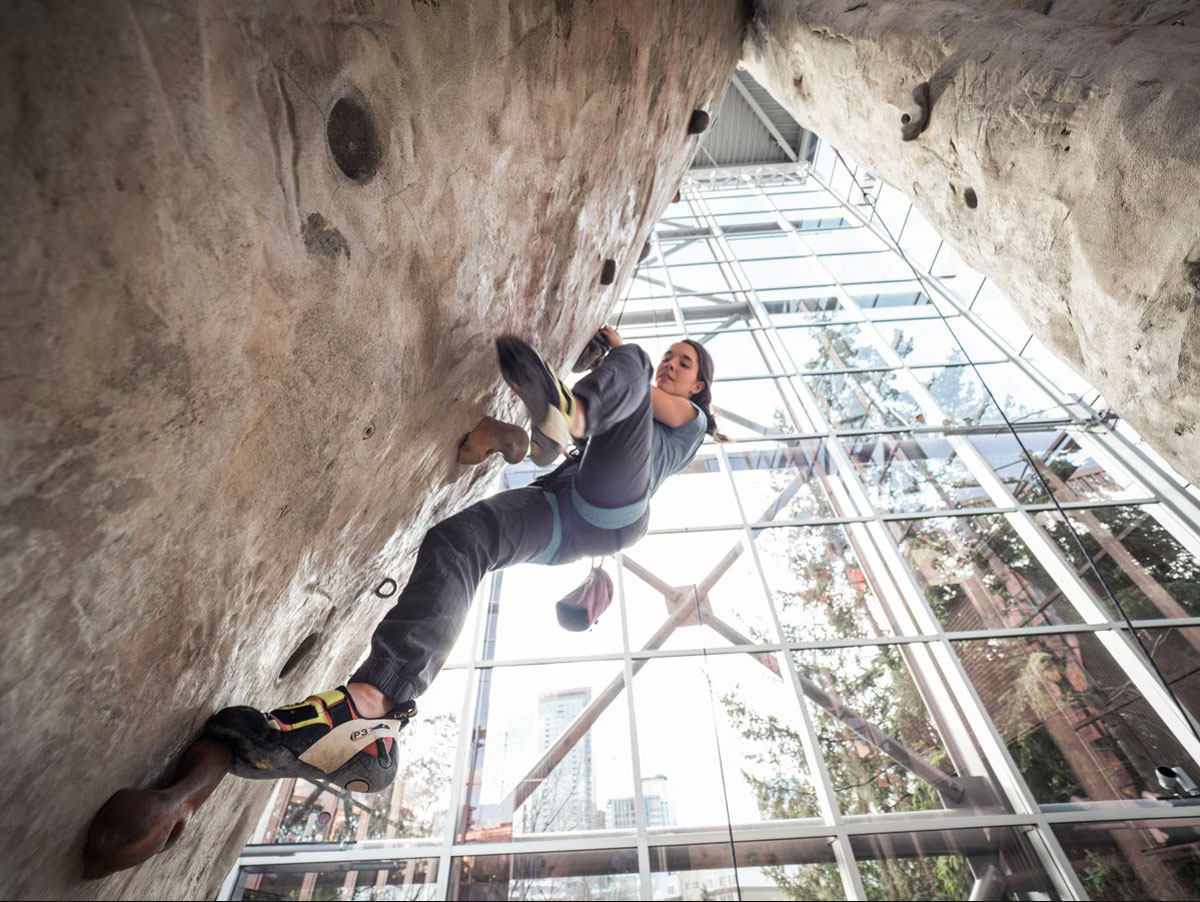 A person climbs an indoor rock wall in a spacious gym with large glass windows. The sky and some buildings are visible outside. The climber wears a safety harness and climbing shoes, focusing intently on their ascent.
