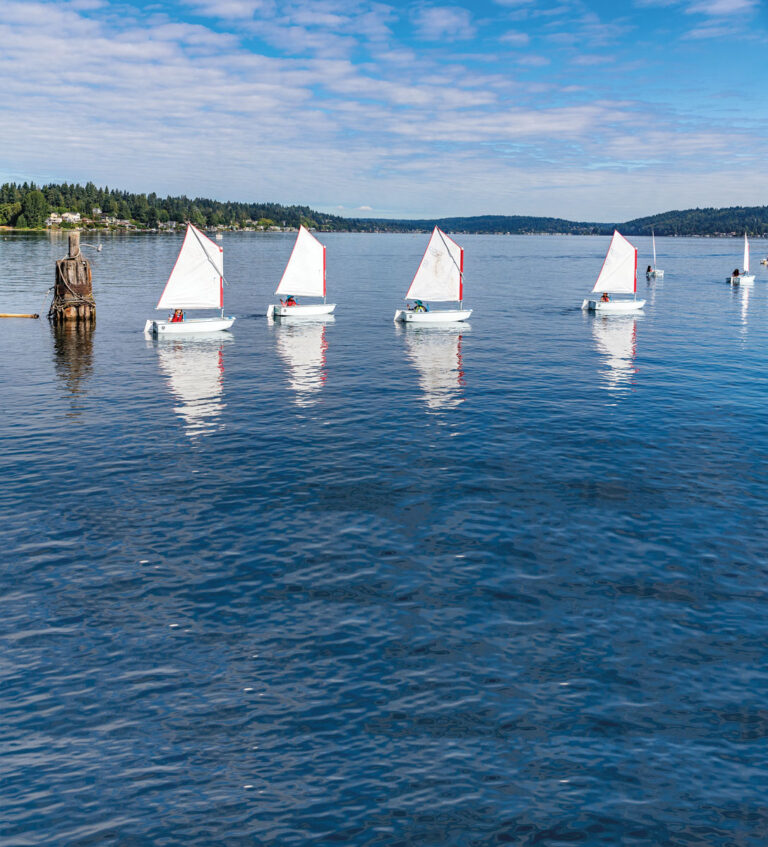 Five small sailboats with white sails float in a row on a calm blue lake under a partly cloudy sky, with distant green trees and hills along the shoreline in the background.