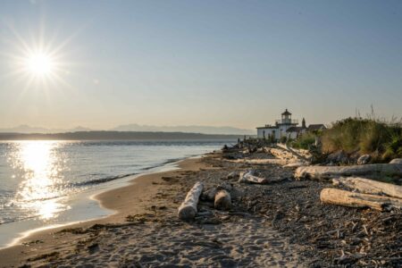A serene beach scene at sunset with driftwood strewn along the sandy shore. The sun casts a warm glow over calm waters, and a lighthouse is visible in the distance. The horizon shows a range of mountains under a clear sky.
