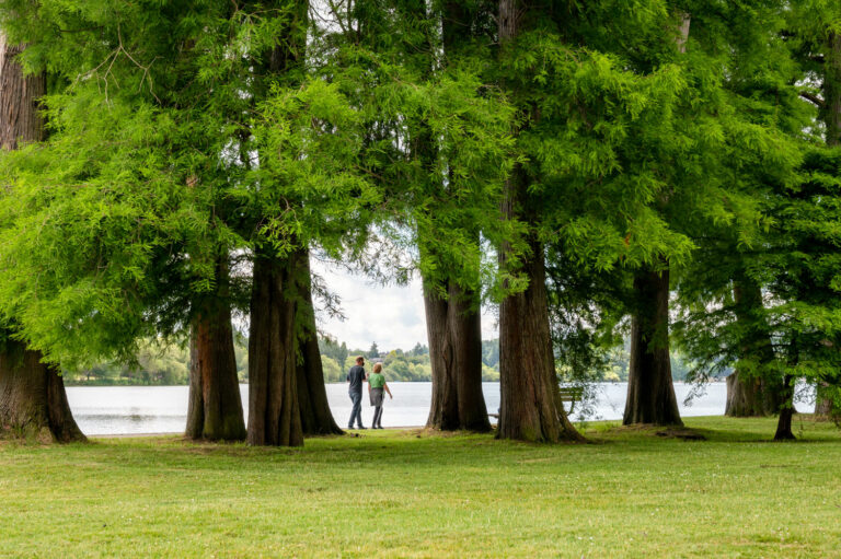 Two people walking hand-in-hand near a serene lake, surrounded by large, lush green trees. A bench is visible nearby, and the sky is partially cloudy, adding to the peaceful atmosphere.