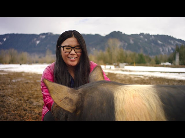 series-thumbnail-slider-card-image-box