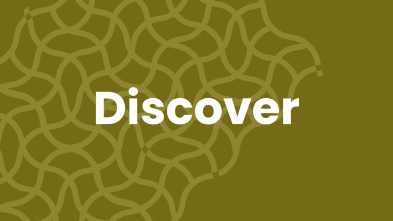 The word "Discover" appears in bold white letters on an olive green background with an abstract, wavy line pattern on the left side.