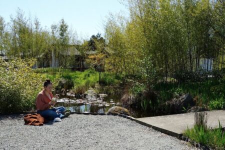 A woman sits cross-legged on gravel near a pond, focused on a small object in her hands. The lush greenery and peaceful water are surrounded by trees under a clear blue sky. A brown jacket lies beside her.