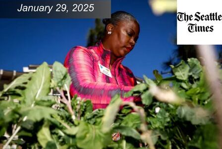 A person tending to plants in a garden.