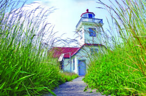 A white lighthouse with a red roof stands surrounded by tall, green grass and plants. A concrete path leads to the entrance under a blue sky.