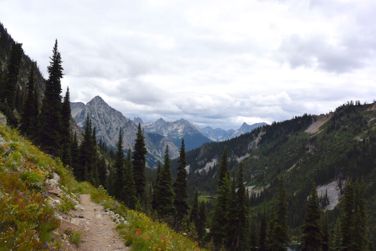 A scenic mountain landscape with a narrow dirt trail winds through a meadow of wildflowers. Tall evergreen trees line the path, with rugged peaks visible in the distance under a cloudy sky.