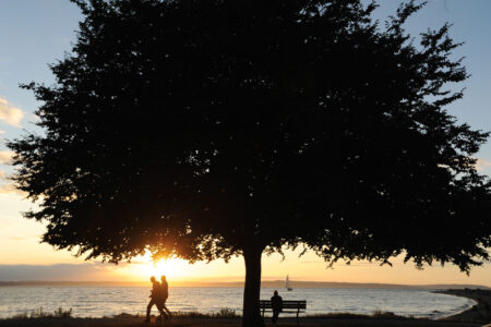 In the Ballard neighborhood, the silhouette of a large tree stands in the foreground, where two people stroll and another sits on a bench beneath it. The sun sets behind them, casting a warm glow over the calm sea in the background.