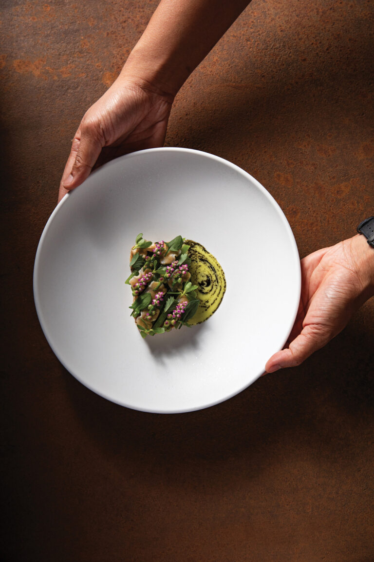 Two hands present a white plate with a delicately arranged dish featuring green elements and sprinkled toppings, set against a textured brown background.