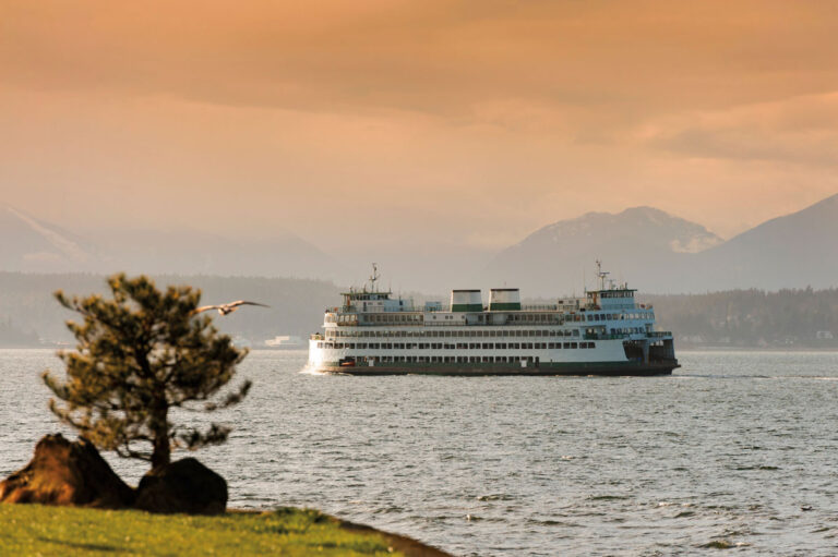 A large white ferry travels across calm water at sunset near the West Seattle neighborhood, with distant mountains and a hazy orange sky in the background. A tree and rocks are in the foreground, and a seagull flies nearby.