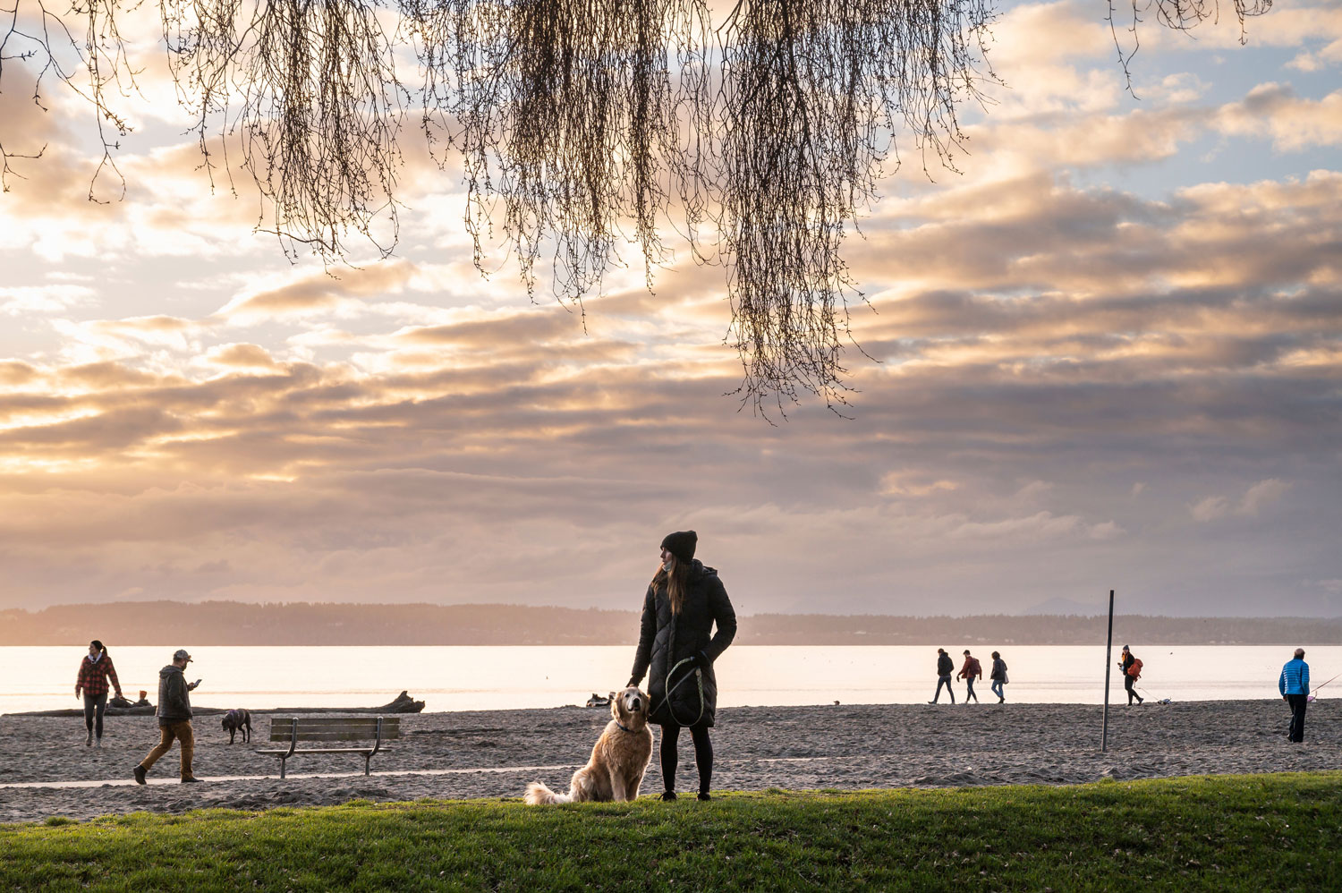 A person stands on a grassy area by the beach, holding a dog on a leash. Several people walk along the shore as the sun sets, casting a warm glow over the scene. Clouds dot the sky, and branches hang in the foreground.