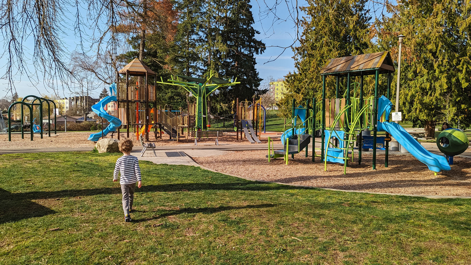 A white child wearing a blue and white striped shirt and grey pants walks across a green grass lawn towards a colorful play structure. The Playstructure has towers with wooden roofs, a green metal climbing structure that resembles a tree, blue slides, and wood chips on the ground. Large evergreen trees border the playground.