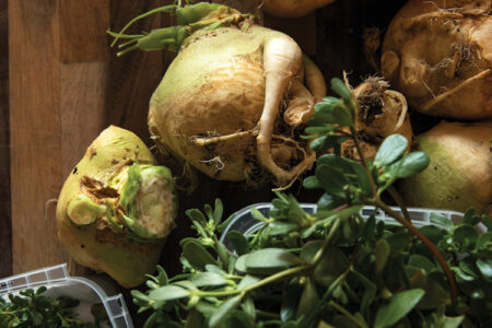 A collection of fresh root vegetables, including turnips and kohlrabi, displayed on a wooden surface. Several containers of leafy greens are also visible, adding a variety of textures and colors.