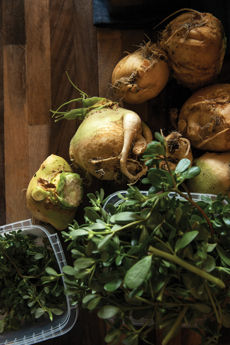A collection of fresh root vegetables, including turnips and kohlrabi, displayed on a wooden surface. Several containers of leafy greens are also visible, adding a variety of textures and colors.