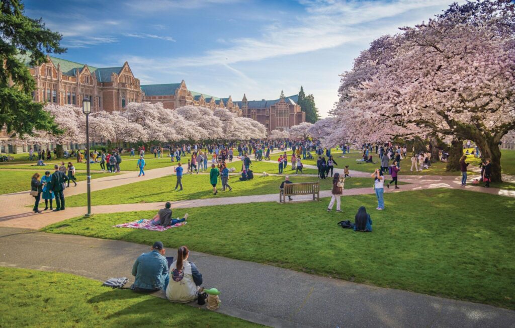 People enjoy a sunny day under blooming cherry blossom trees on a university campus. The scene includes groups of people walking, sitting on benches, and relaxing on the grass, with historic buildings in the background.