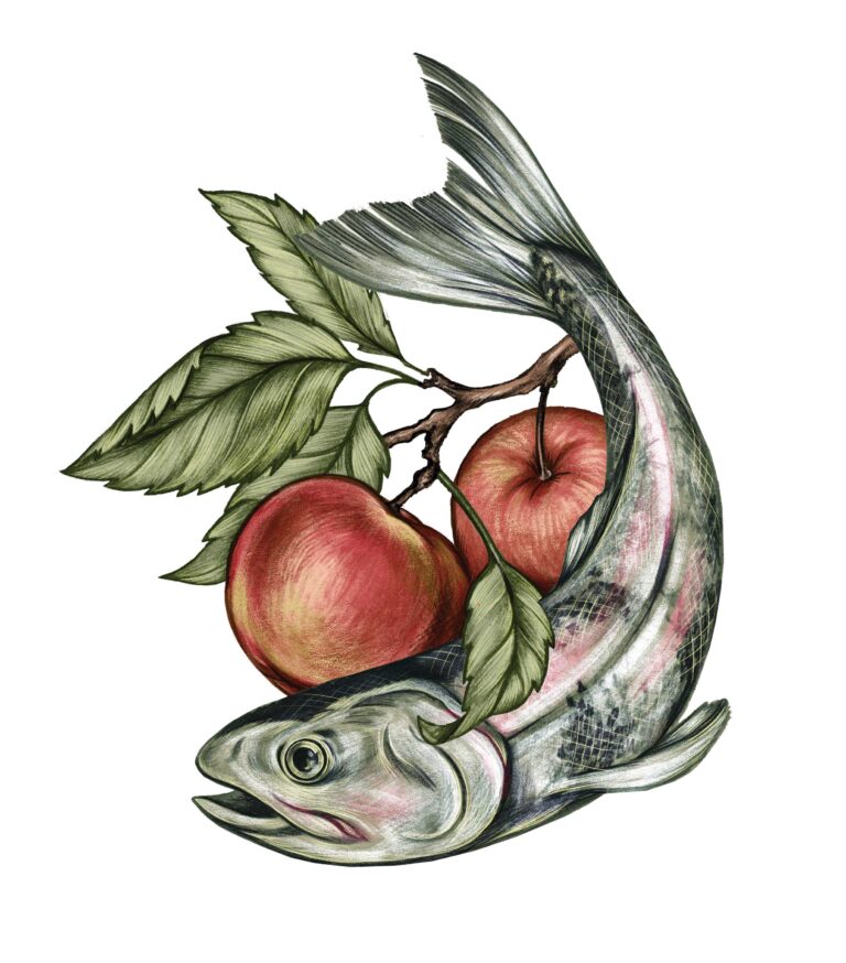 Illustration of a fish intertwined with a branch bearing two red apples and green leaves. The composition blends aquatic and botanical elements on a white background.