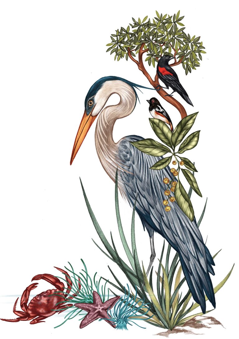 An illustration of a heron standing among grasses, a crab, and a starfish. A small tree grows beside it, with a bird perched on a branch. Another small bird sits on the heron's back. The scene is colorful and nature-themed.