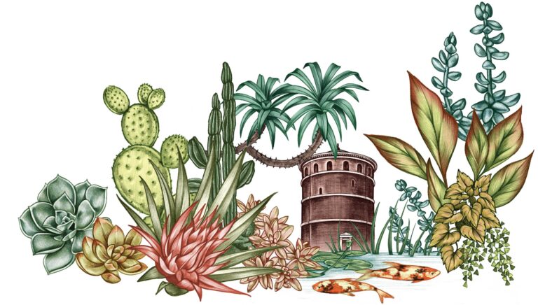 Illustration of various succulents and cacti in the foreground, with a round, tower-like structure, palm trees, and a pond with koi fish in the background. The scene is lush with green and brown tones.
