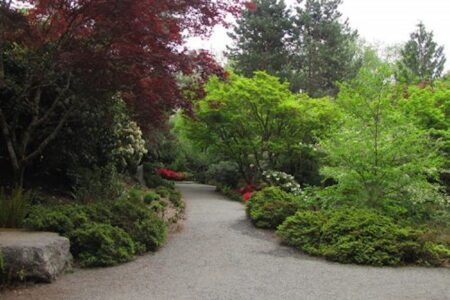 A serene garden pathway surrounded by lush greenery, including vibrant red and green trees. The gravel path curves gently, inviting a peaceful walk through the natural landscape.