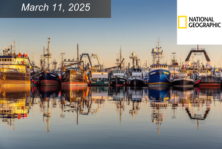 A row of colorful fishing boats.