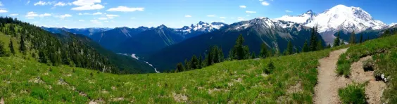 Mt. Rainier Panoramic