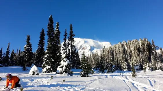 Wintertime in Mt. Rainier